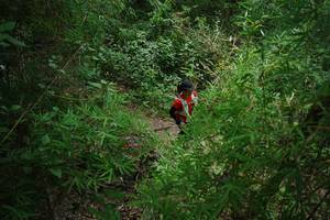 BIB: 
                            <button type="button" onclick="openModal(22241974)" class="btn btn-primary btn-sm float-right btn-popup" data-toggle="modal" data-target=".modal-high-quality">
                        <i class="fas fa-shopping-cart"></i> Add to Cart
                    </button>
                                            <button type="button" onclick="isThisMe(22241974, true)" class="btn btn-success btn-sm float-right btn-popup btn-isme hidden" data-toggle="tooltip" data-placement="bottom" title="นี่คือรูปของคุณใช่ไหม คลิกที่นี่เพื่อเอาเข้าอัลบั้ม">
                        <i class="fas fa-plus"></i> Add to album
                    </button>
                    <button type="button" onclick="isThisMe(22241974, false)" class="btn btn-warning btn-sm float-right btn-popup btn-isnotme hidden">
                        <i class="fas fa-ban"></i> Remove from album
                    </button>